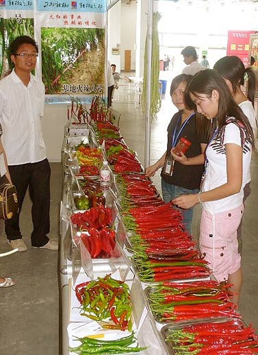 Pepper producer from China's westernmost region of Xinjiang, adding local flair through traditional costume - and internationality by offering Pasilla peppers
